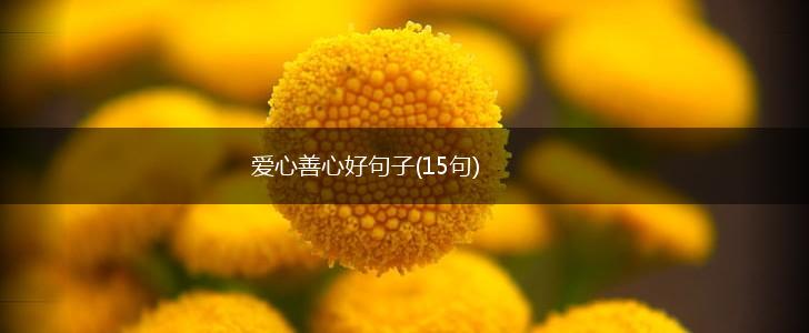 爱心善心好句子(15句),第1张