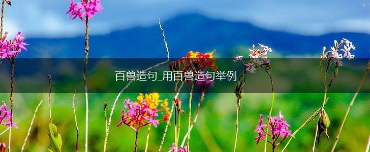 百兽造句_用百兽造句举例,第1张 百兽造句_用百兽造句举例,第1张