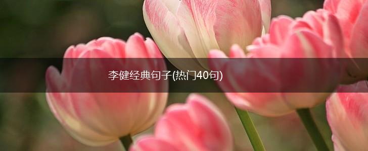 李健经典句子(热门40句),第1张