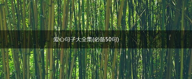 爱心句子大全集(必备50句),第1张