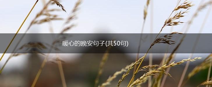暖心的晚安句子(共50句),第1张