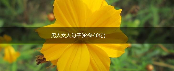 男人女人句子(必备40句),第1张