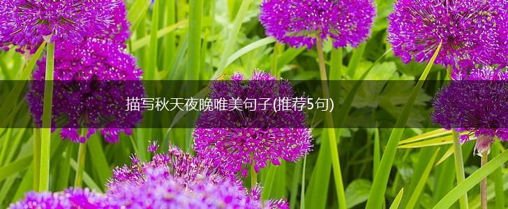 描写秋天夜晚唯美句子(推荐5句),第1张