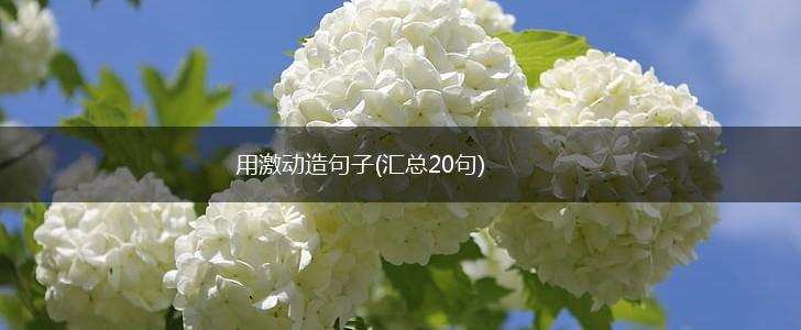 用激动造句子(汇总20句),第1张