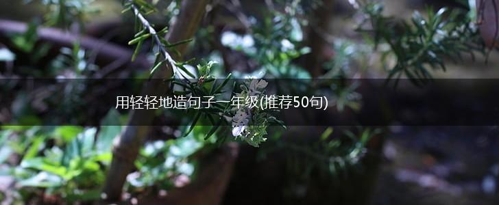 用轻轻地造句子一年级(推荐50句),第1张