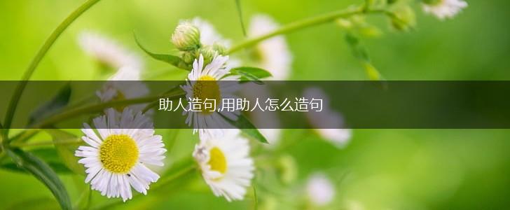 助人造句,用助人怎么造句,第1张