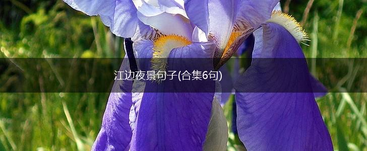 江边夜景句子(合集6句),第1张