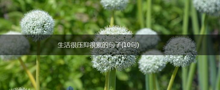 生活很压抑很累的句子(10句),第1张