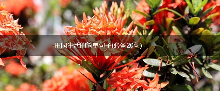 田园生活的简单句子(必备20句),第1张