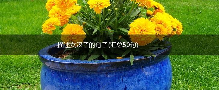 描述女汉子的句子(汇总50句),第1张