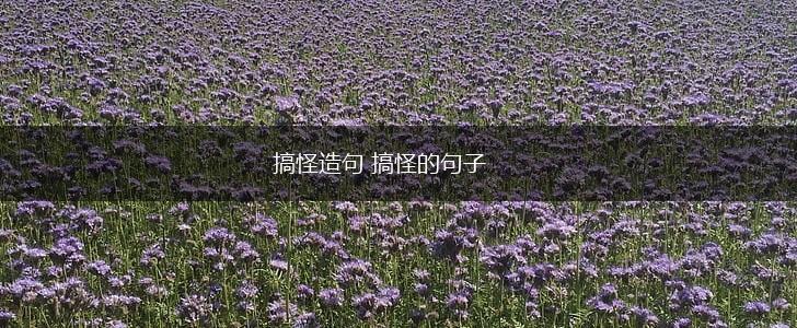 搞怪造句 搞怪的句子,第1张 搞怪造句 搞怪的句子,第1张