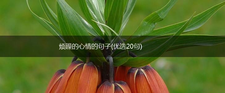 烦躁的心情的句子(优选20句),第1张