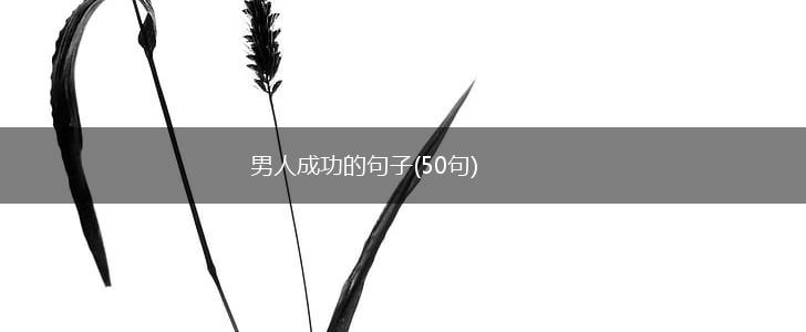 男人成功的句子(50句),第1张