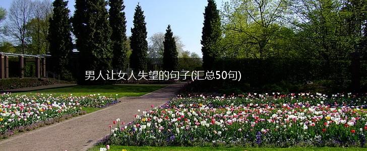 男人让女人失望的句子(汇总50句),第1张