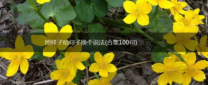 照样子给句子换个说法(合集100句),第1张