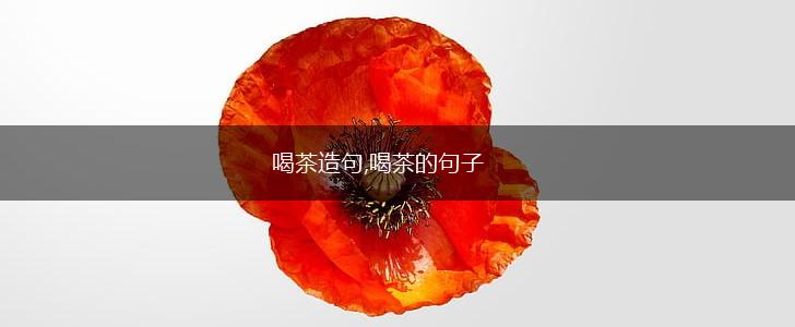 喝茶造句,喝茶的句子,第1张