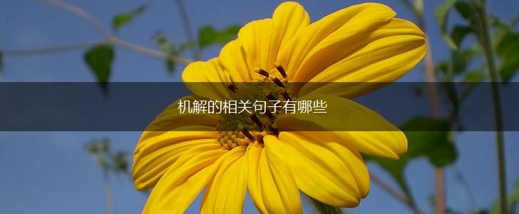 机解的相关句子有哪些,第1张