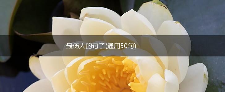最伤人的句子(通用50句),第1张