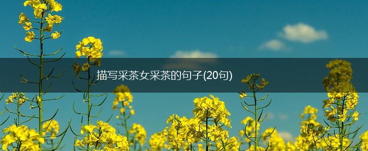 描写采茶女采茶的句子(20句),第1张