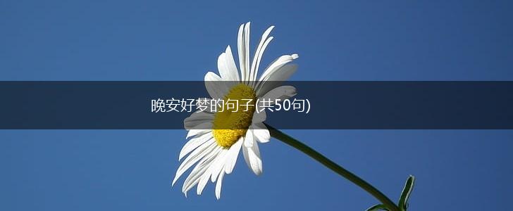 晚安好梦的句子(共50句),第1张
