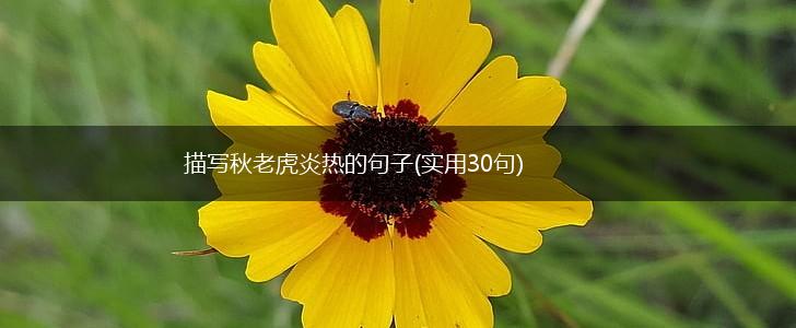 描写秋老虎炎热的句子(实用30句),第1张