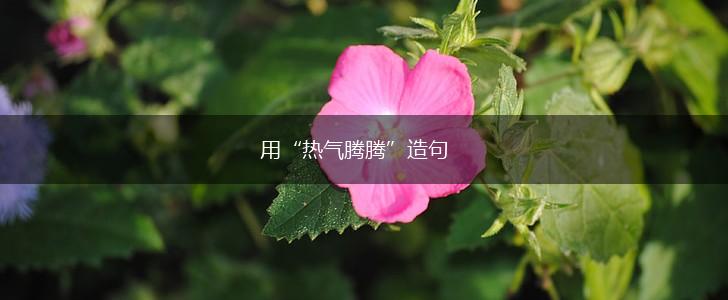用“热气腾腾”造句,第1张 用“热气腾腾”造句,第1张