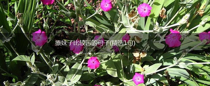 撩妹子比较污的句子(精选1句),第1张