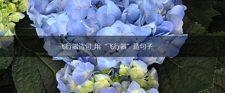 飞行器造句_用“飞行器”造句子,第1张