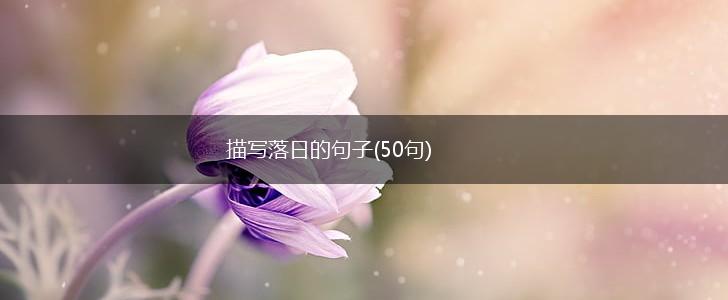 描写落日的句子(50句),第1张