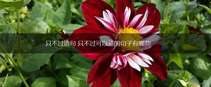 只不过造句 只不过可以造的句子有哪些,第1张 只不过造句 只不过可以造的句子有哪些,第1张
