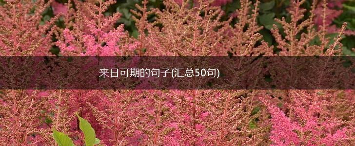 来日可期的句子(汇总50句),第1张