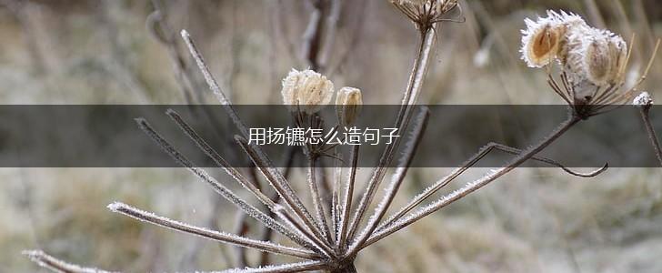用扬镳怎么造句子,第1张 用扬镳怎么造句子,第1张