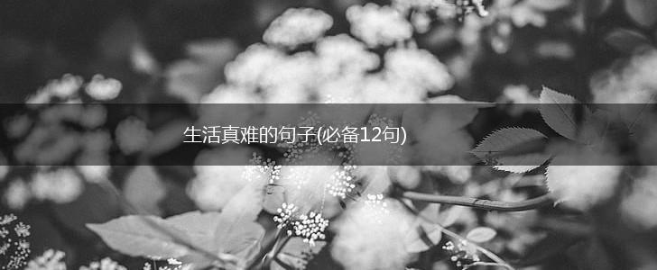 生活真难的句子(必备12句),第1张
