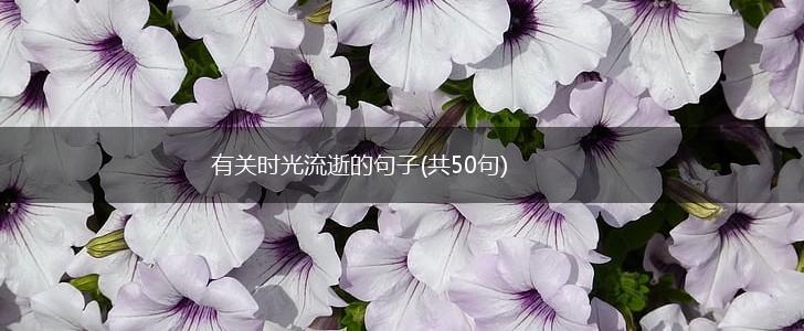 有关时光流逝的句子(共50句),第1张