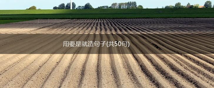 用要是就造句子(共50句),第1张