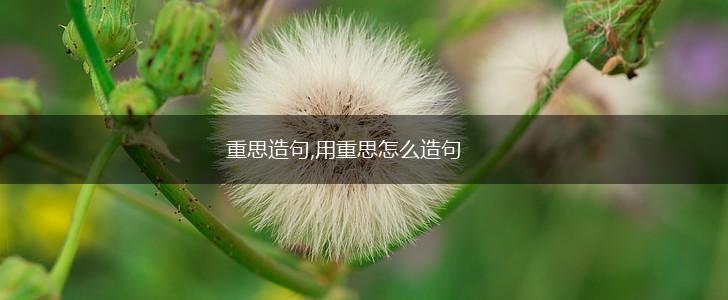 重思造句,用重思怎么造句,第1张 重思造句,用重思怎么造句,第1张