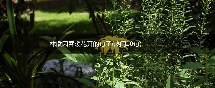 林徽因春暖花开的句子(热门10句),第1张