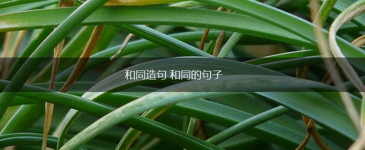 和同造句 和同的句子,第1张