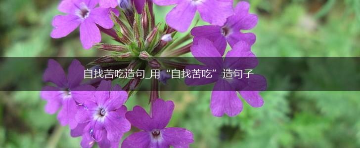自找苦吃造句_用“自找苦吃”造句子,第1张