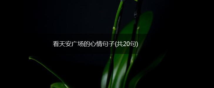 看天安广场的心情句子(共20句),第1张