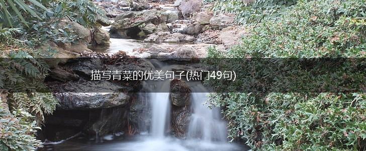描写青菜的优美句子(热门49句),第1张