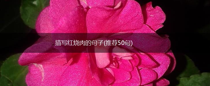 描写红烧肉的句子(推荐50句),第1张