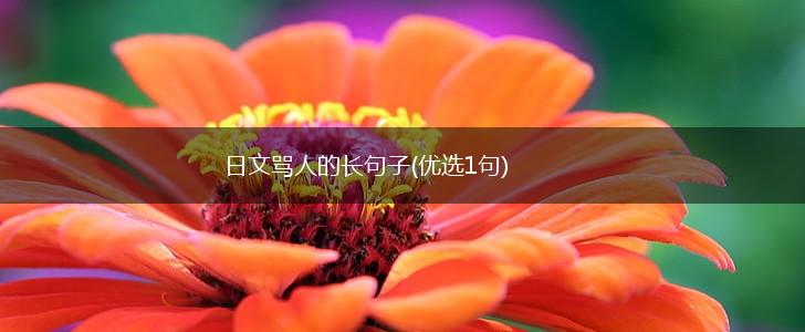 日文骂人的长句子(优选1句),第1张