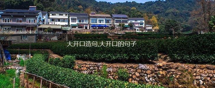 大开口造句,大开口的句子,第1张