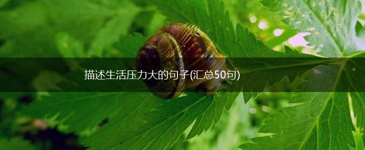 描述生活压力大的句子(汇总50句),第1张