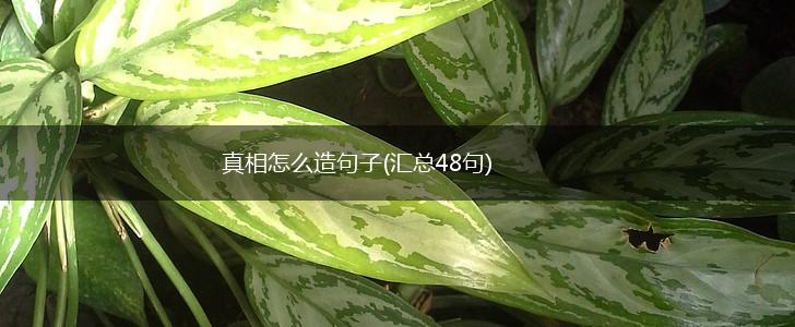 真相怎么造句子(汇总48句),第1张