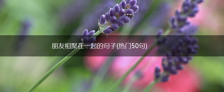 朋友相聚在一起的句子(热门50句),第1张