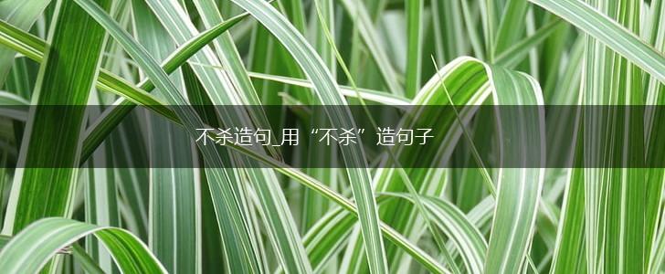 不杀造句_用“不杀”造句子,第1张