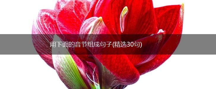 用下面的音节组成句子(精选30句),第1张