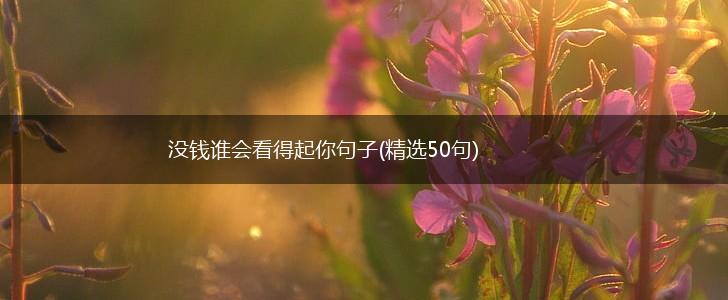 没钱谁会看得起你句子(精选50句),第1张